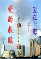爱在上海之爱的救赎