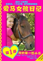 爱马女孩日记1：我的第一匹小马