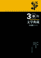 30年文学典藏小说卷（一）