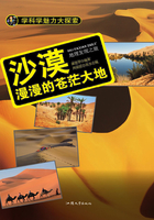 沙漠：漫漫的苍茫大地