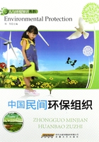 中国民间环保组织（人与环境知识丛书）