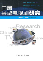 中国类型电视剧研究