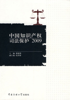 中国知识产权司法保护 2009