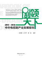 剧领天下：中外电视剧产业发展报告（2012-2013）
