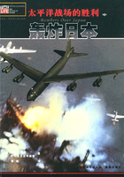 太平洋战场的胜利（中卷）：轰炸日本