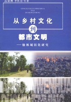 从乡村文化到都市文明：榆林城镇化研究