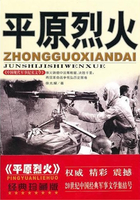 平原烈火（中国现代军事文学丛书）