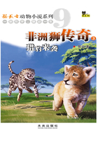 非洲狮传奇3：猎豹来袭