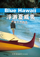 浮游夏威夷：海天共蔚蓝