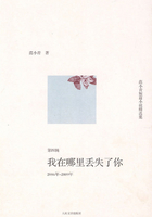 范小青短篇小说精选集：我在哪里丢失了你（2006年～2009年第四辑）