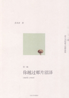 范小青短篇小说精选集：你越过那片沼泽（1980年～1990年第一辑）