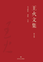 王火文集·第五卷：东方阴影 禅悟 雪祭