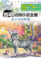 西顿动物小说全集：巷子里的野猫