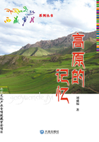 西藏岁月系列丛书·高原的记忆