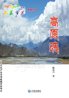 西藏岁月系列丛书·高原魂