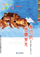 西藏岁月系列丛书·我们的西藏岁月