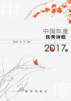 中国年度优秀诗歌·2017卷