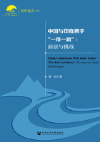 中国与印度携手“一带一路”：前景与挑战（中国社会科学院“一带一路”研究系列·智库报告）