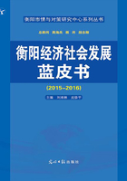 衡阳经济社会发展蓝皮书：2015-2016