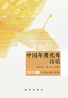 中国年度优秀诗歌2015
