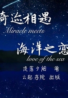 奇迹相遇海洋之恋