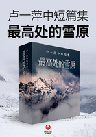 卢一萍中短篇集：最高处的雪原