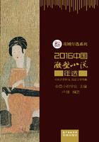 2016中国微型小说年选
