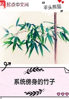 系统傍身的竹子