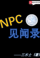 NPC见闻录