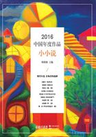 2016中国年度作品·小小说