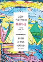 2016中国年度作品·微型小说