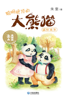 大童话家朱奎童话·聪明绝顶的大熊猫温任先生